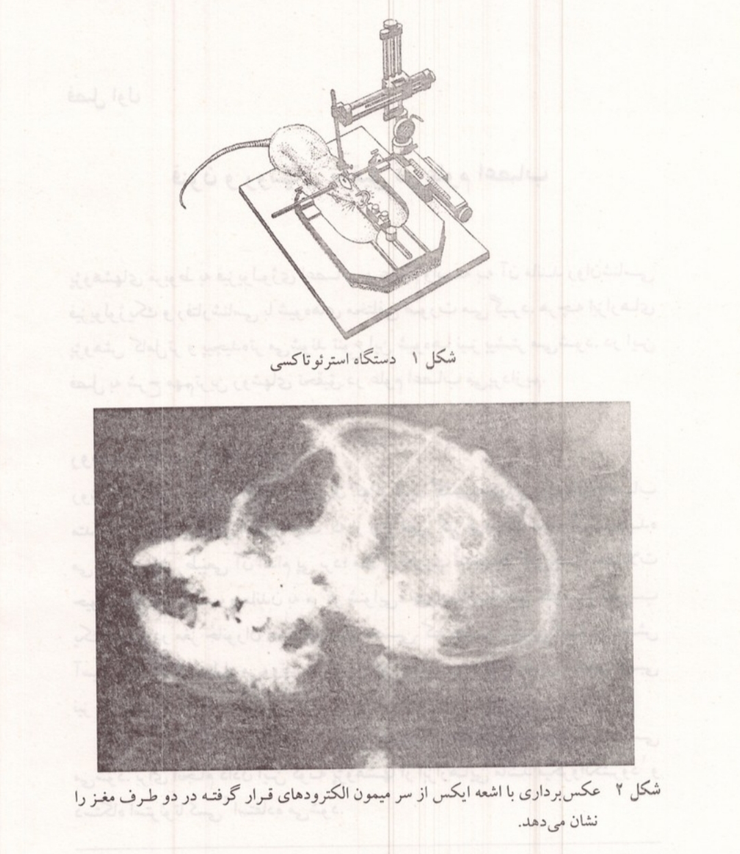 عکس دستگاه استرئوتاکسی و جمجمه سر میمون