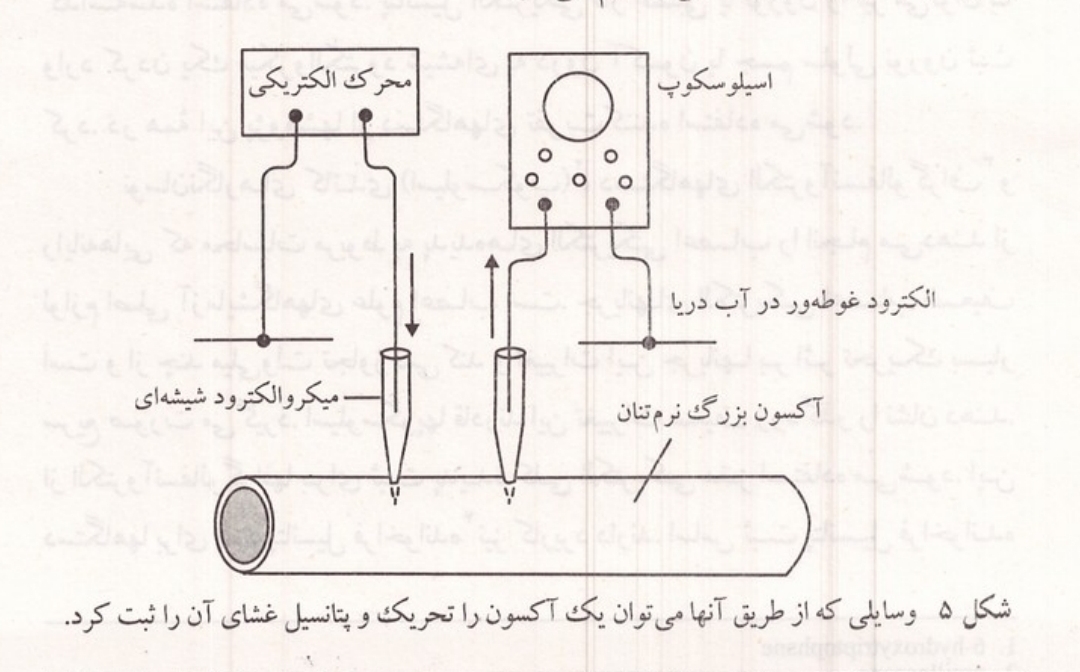 وسایل تحریک و ثبت پتانسیل غشای آکسون