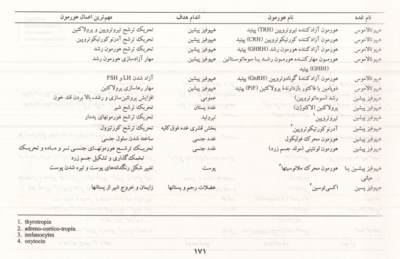 شرح تفصیلی غدد درون ریز