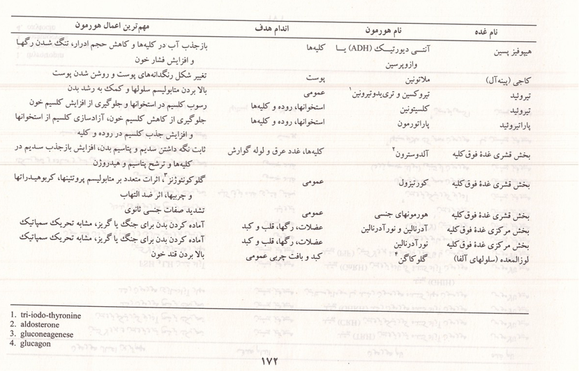 شرح تفصیلی غدد درون ریز
